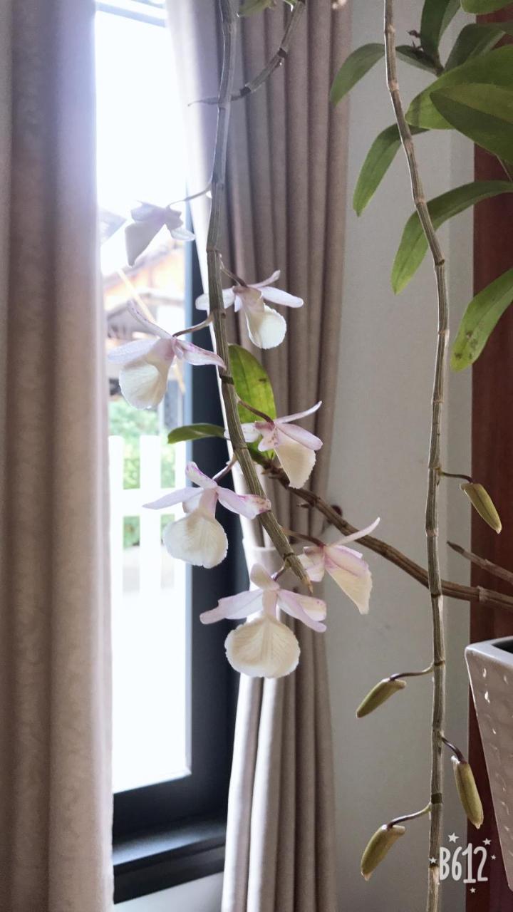 Hue Homestay Riverside Esterno foto